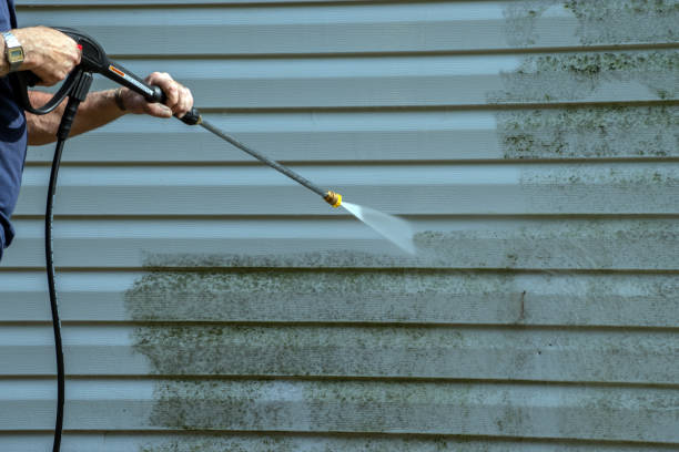 Best Affordable Power Washing  in Durant, MS