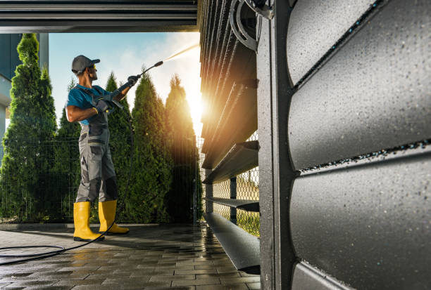 Best Roof Pressure Washing  in Durant, MS